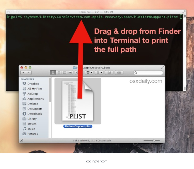 کشیدن پوشه از Finder به Terminal در macOS